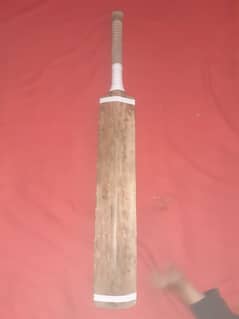 Gray Nicolls Hard Ball Bat