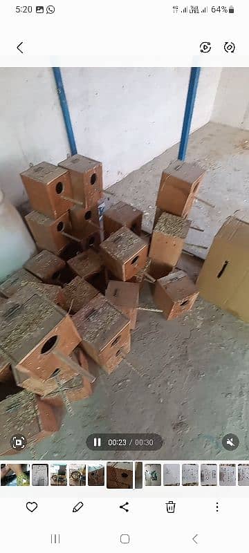 New & used lovebird boxes of heavy wood. 03009658681 1