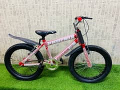 Brandnew kids FAT TYRE  bicycle 20inch (0309-5420395)