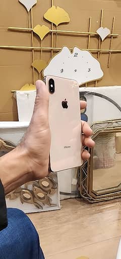 XS Max 256 GB