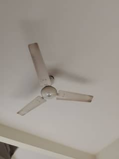 ceiling Fan