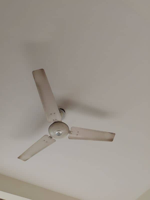 ceiling Fan 1