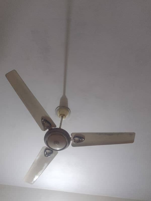 ceiling Fan 2