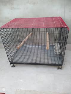 birds cage