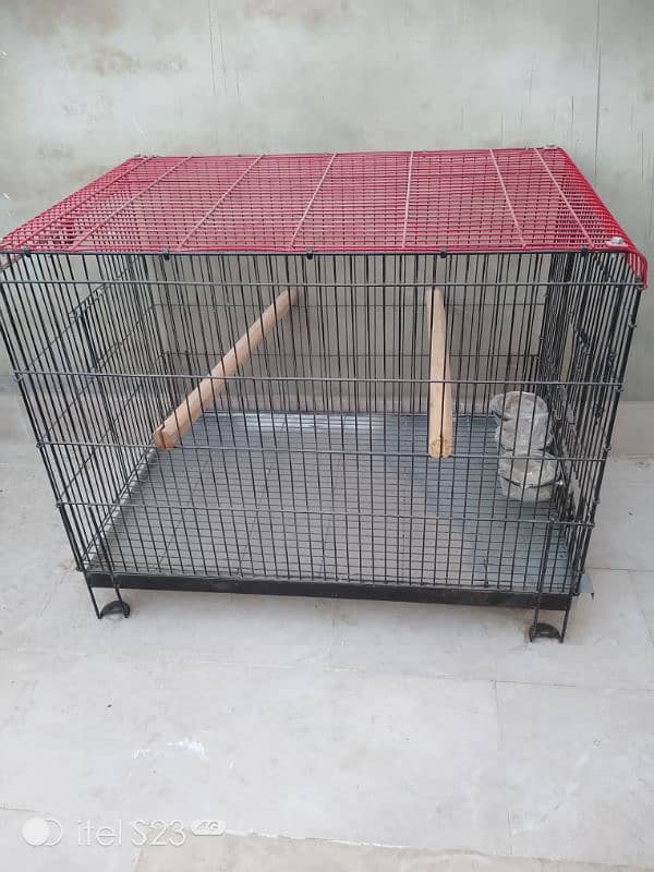 birds cage 1