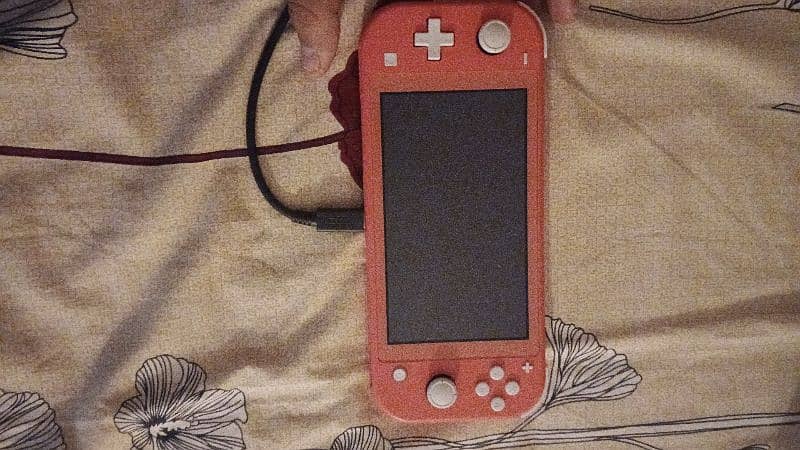 Nintendo switch lite modded with case 0