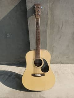 Acoustic Guitar