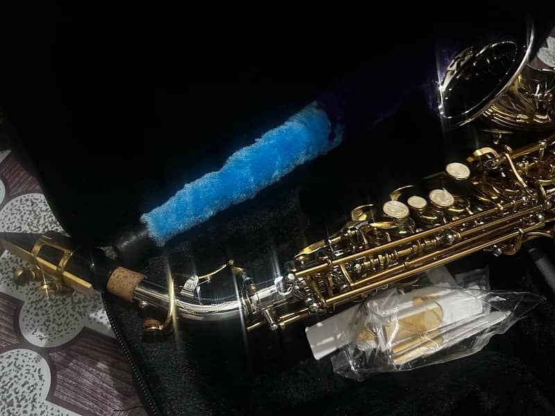 Alto saxophone 2