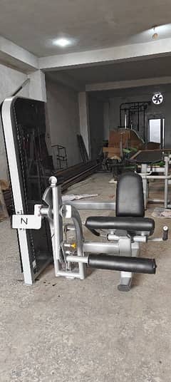 leg extension gym equipment