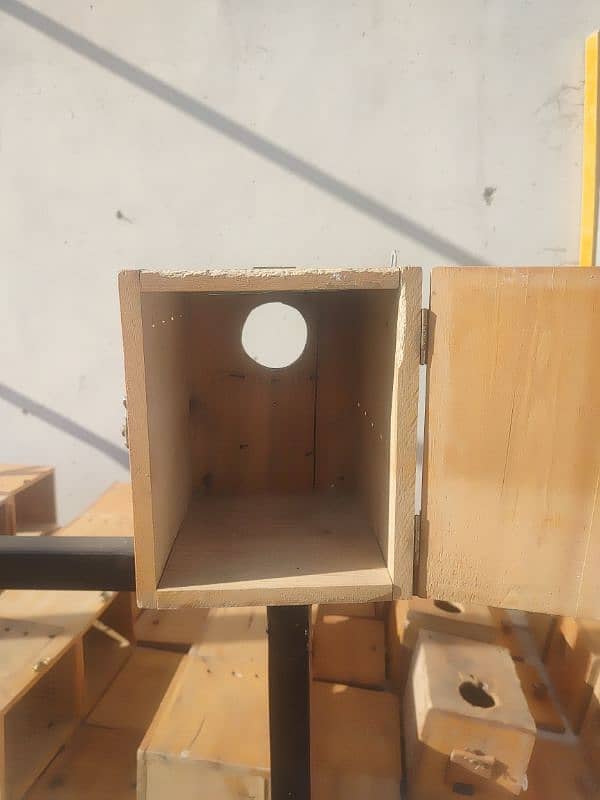 love birds & cocktail breeding box for sale 4