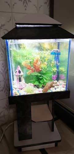 Aquarium With Air Diffuser With all accessories