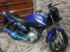 Yamaha YBR