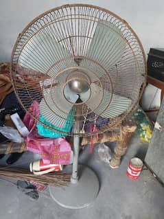 Fan