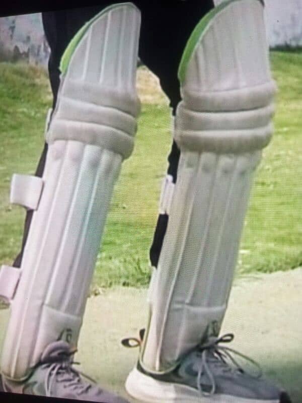 best batting pads for batsman. . In a very low price good quality pads 1