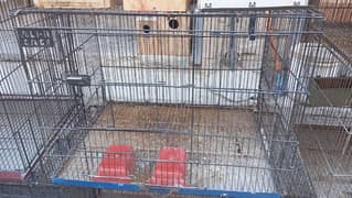 Cage for sale