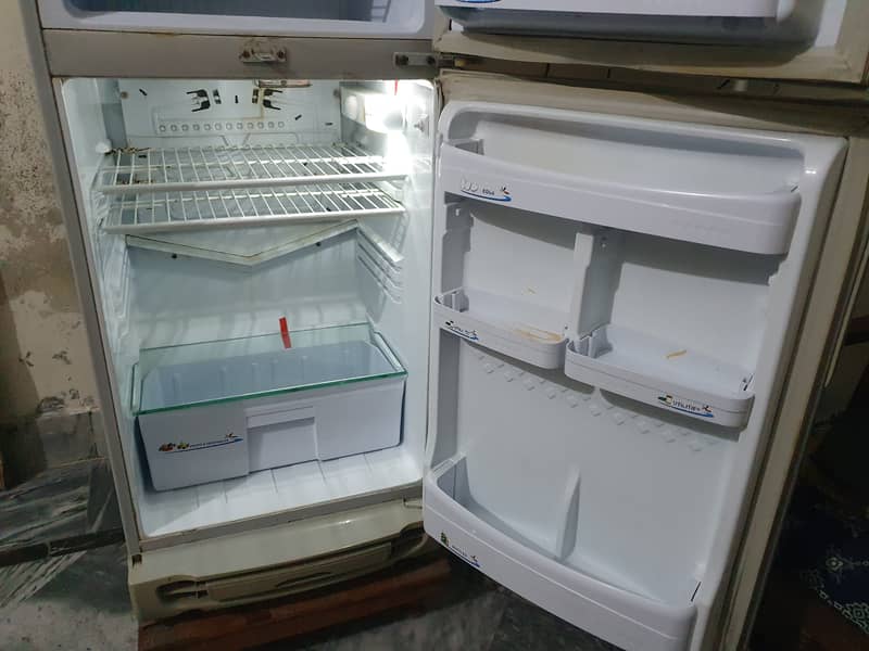 Pel Refrigerator 3