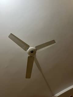 4 Fans for sale