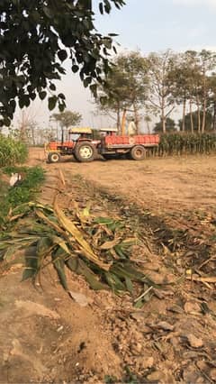 Silage