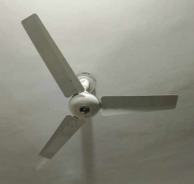 Fan| Royal ceiling fan 1