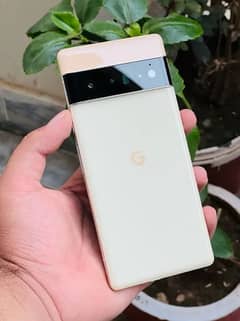 google pixel 6 Pro 12/128