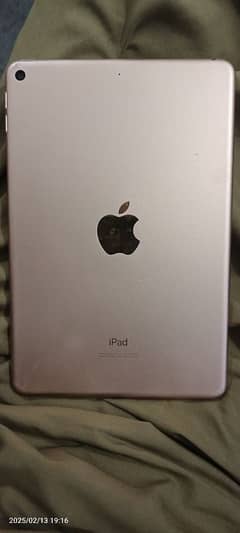 ipad mini 5