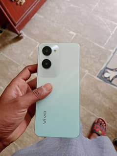 vivo