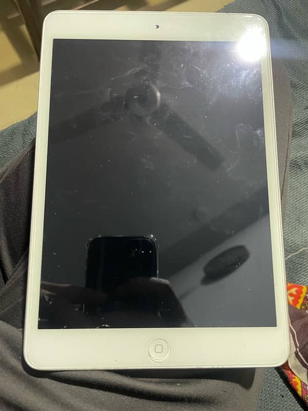 ipad mini 2 4