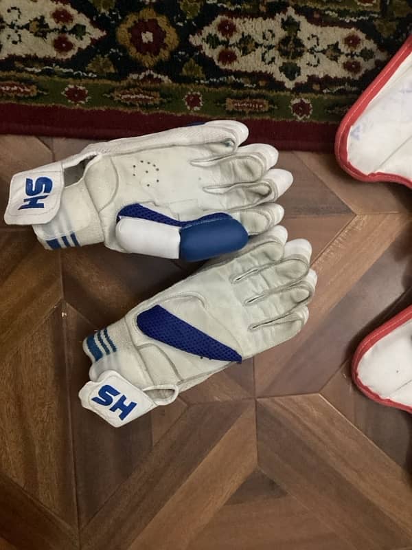 Cricket pads helmet gloves thigh 6