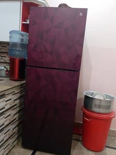 6 month use pel company full size fridge for sale urgent