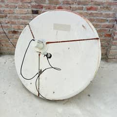 Dish