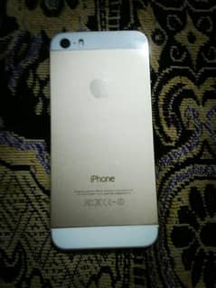 iPhone5