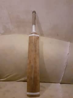 Hard Ball Cricket bat