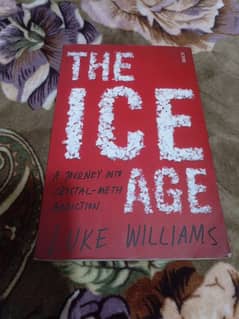 The Ice Age Book