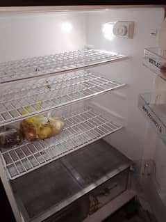 HAIER DOUBBLE XL FRIDGE 10/10 CONDITION