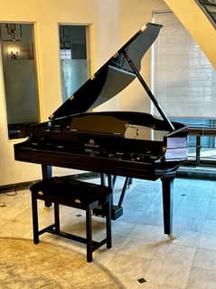 Bassclef Grand Piano/Grand Piano/piano/pool table/Billiards/rugs/sofa