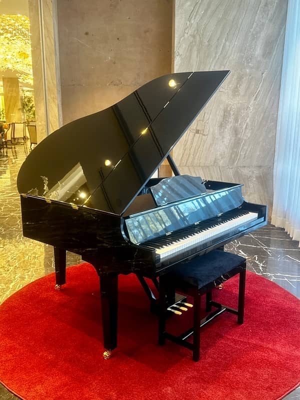 Bassclef Grand Piano/Grand Piano/piano/pool table/Billiards/rugs/sofa 2