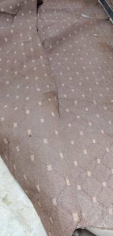 Room Carpet 1