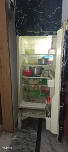 medium size fridge