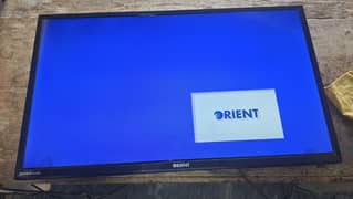 Orient LED 32 inch for Sale