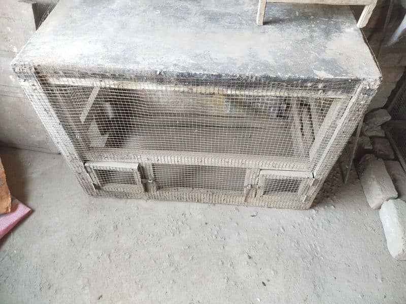 Cage for hen heavy weight wooden cage 2