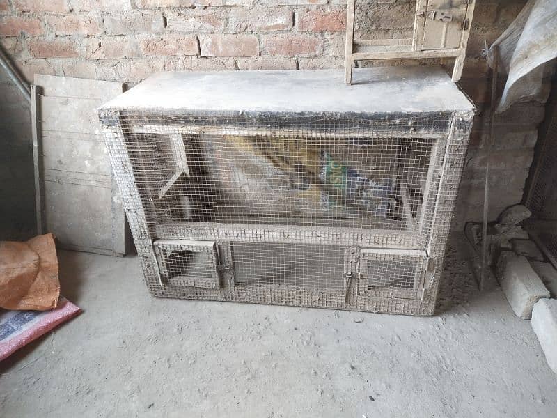 Cage for hen heavy weight wooden cage 5