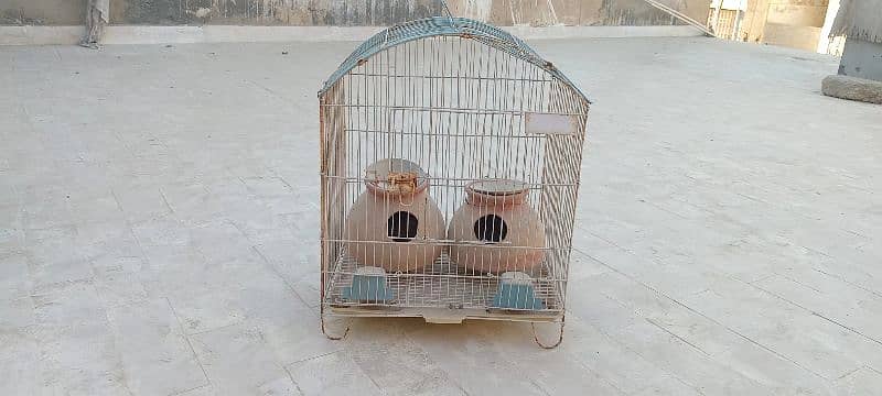 Bird cage with two bird houses 0