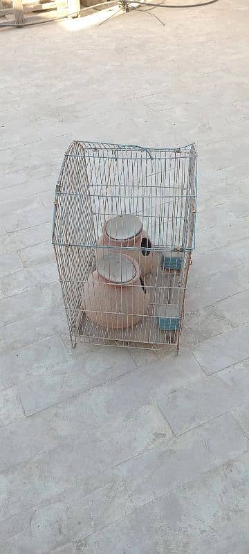 Bird cage with two bird houses 2