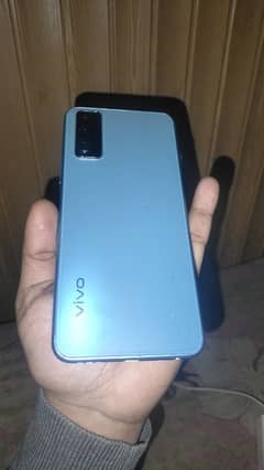 vivo