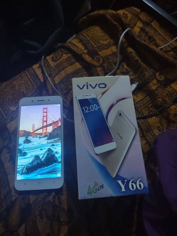 vivo y66 6/128 singal sim pta approved 0