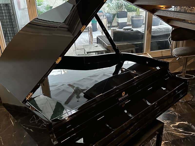 Grand Piano/Piano/Bassclef/pool table/Rugs/piano 4
