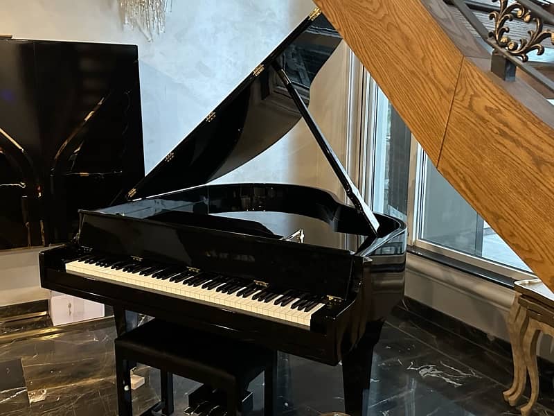 Grand Piano/Piano/Bassclef/pool table/Rugs/piano 6