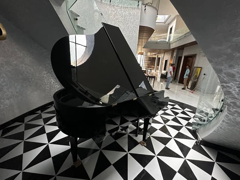 Grand Piano/Piano/Bassclef/pool table/Rugs/piano 8