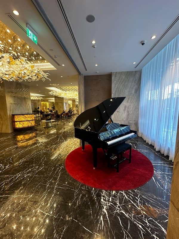 Grand Piano/Piano/Bassclef/pool table/Rugs/piano 14