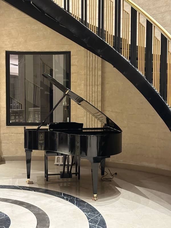 Grand Piano/Piano/Bassclef/pool table/Rugs/piano 18